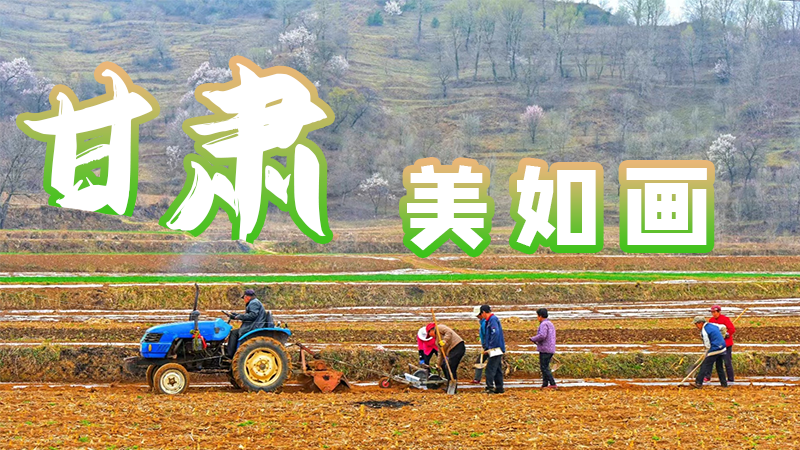 微海報|甘肅,美如畫