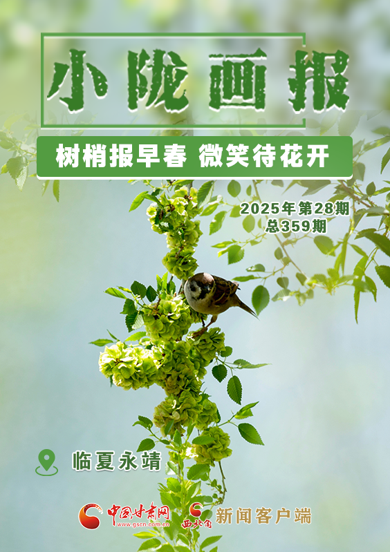 【小隴畫報·359期】永靖:樹梢報早春 微笑待花開