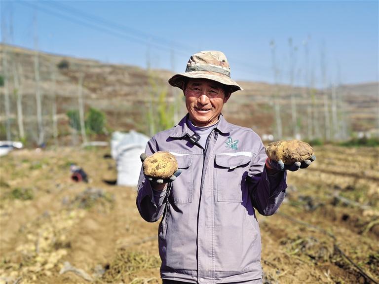 技術(shù)創(chuàng)新穩(wěn)產(chǎn)量 北繁南種拓市場