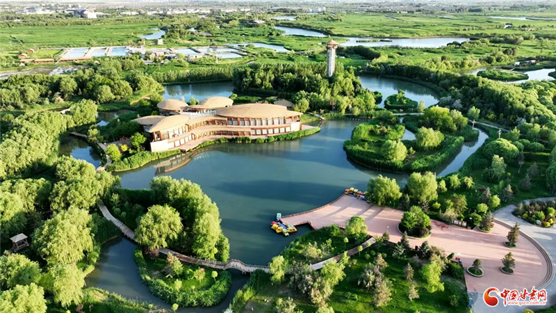 當“九色鹿”躍入張掖 西部生態名城再繪“綠水青山”新卷