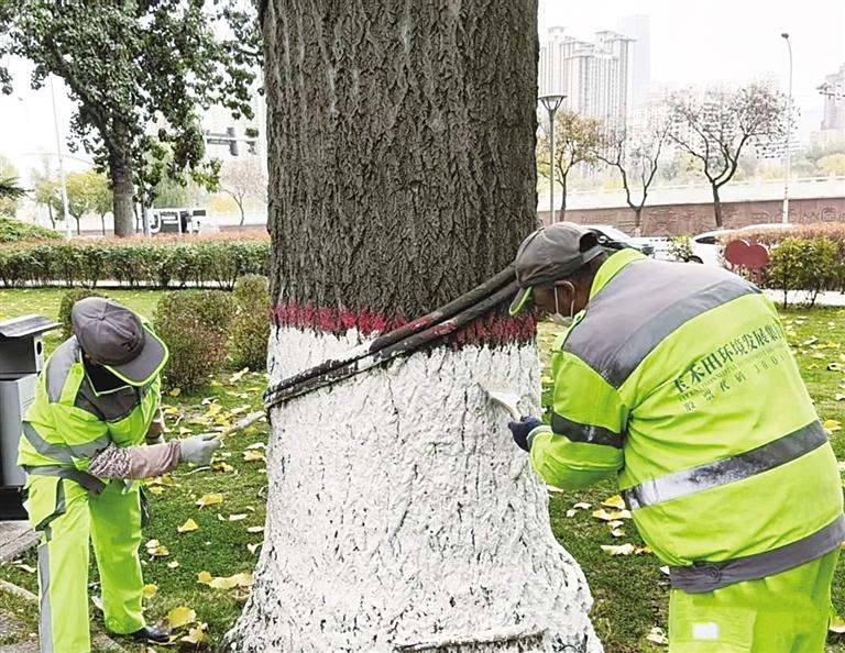 蘭州環衛精護綠植迎寒冬
